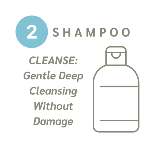 Shop Buy CRLab Scalp Therapy Products Hair Loss Prevention Anti-Dandruff Oil Regulating Shampoo Conditioner and Serums Medical Grade Hair Care - Shampoo Gentle Deep Cleanse No Damage